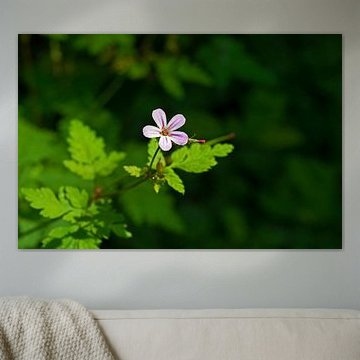 Lief Klein Roze Bloemetje