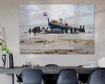 Bateau de sauvetage pour chevaux sur Ameland sur Marjan Noteboom