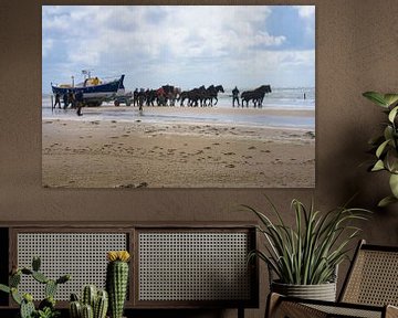 Paardenreddingsboot Ameland van Marjan Noteboom