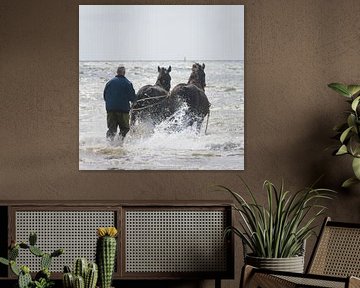 Paardenreddingsboot op Ameland by BeeldWoord