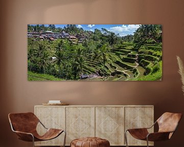 Rijst velden van Bali, Indonesie.