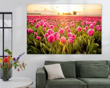 Bloeiende tulpen tijdens zonsondergang in Flevoland van Sjoerd van der Wal Fotografie