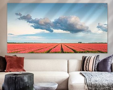 Champs de floraison des tulipes rouges pendant le coucher du soleil en Hollande sur Sjoerd van der Wal Photographie