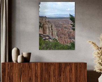 Bryce Canyon Amerika van Rianne Magic moments