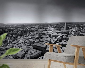 Cityscape Siena Italy by Marcel Kerdijk