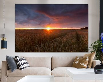 Landschap, korenveld bij zonsondergang tijdens zomerse dag  van Marcel Kerdijk
