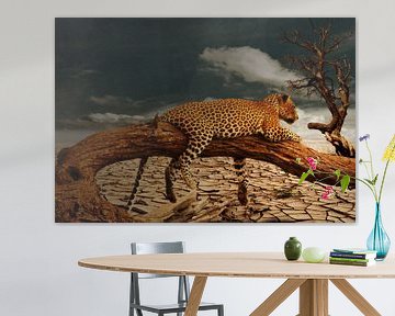 Leopard in de Woestijn