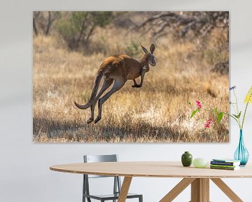Hopping kangaroo van Joke Beers-Blom