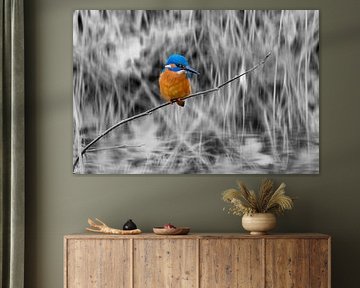 Kingfisher on a twig. by Andrea de Vries