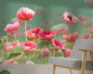 Red anemones by Fionna Bottema