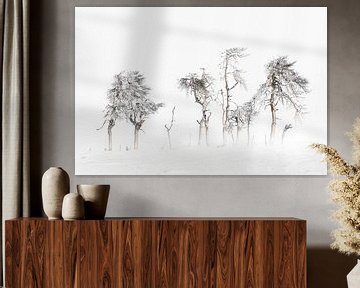 Winter Bomen Hoge Venen von Ingrid Van Damme fotografie