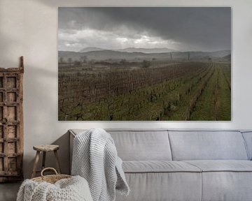 Landschap, Stormachtig weer boven wijnvelden  van Marcel Kerdijk
