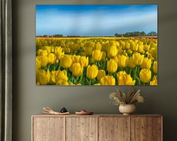 Gele tulpen 1 van Sandra de Heij