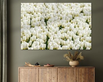 White Tulips von Hans Tijssen