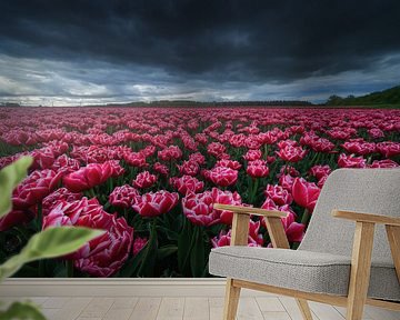 Pink Tulips by Albert Dros