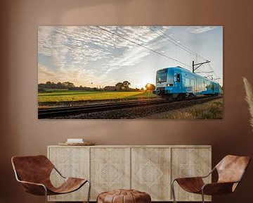 De trein in het Nederlandse landschap: Barneveld-Noord van John Verbruggen