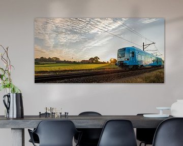 De trein in het Nederlandse landschap: Barneveld-Noord