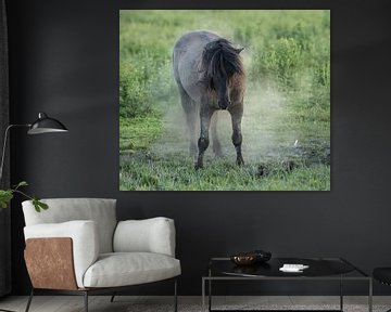 Oostvaardersplassen Konick horses by Ilse Cardoen