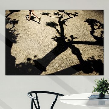 schaduw van een italiaanse boom