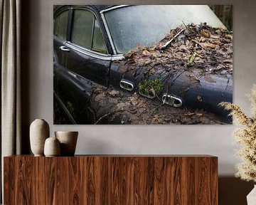 Motor hood of a classic decaying car wreck with leaves by Ger Beekes