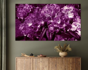 Flower colors lilac  van Jenny Heß