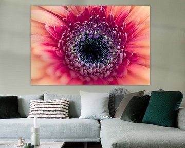 Hart van een gerbera van Wim Stolwerk