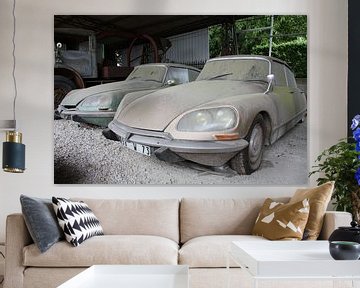 Citroen DS sur Angelique van 't Riet