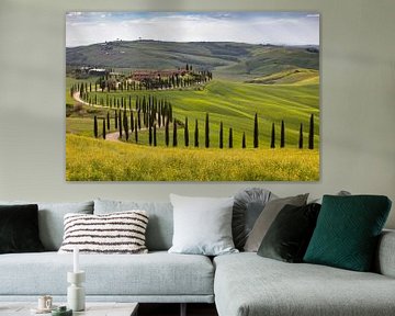 Cypress avenue in Tuscany van Andreas Müller