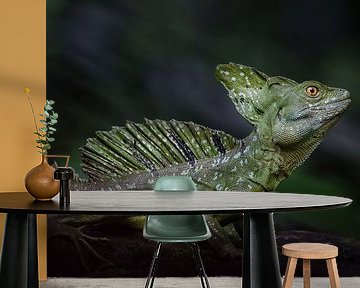 Basilisk lizard by Elles Rijsdijk