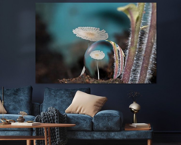 Aperçu de la chambre