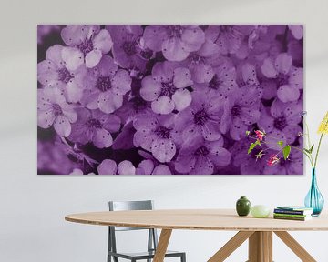 Blossom violett  van Jenny Heß