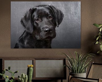 Black Pup by Karen Havenaar