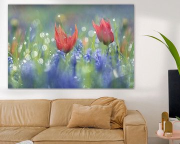 Tulipes et raisins bleus dans un mélange coloré, atmosphère de rêve, flowerpower sur simone opdam