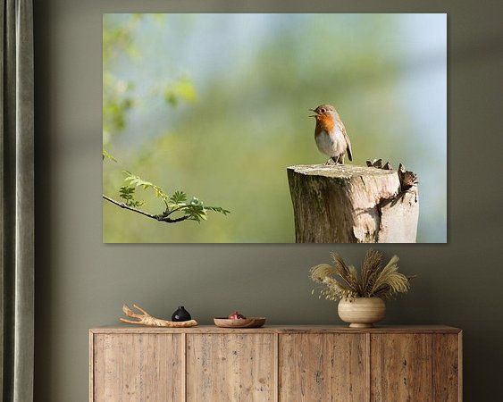 Aperçu de la chambre