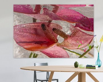 Anthurium in ice 1 by Marc Heiligenstein