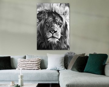 Lion, lion, loony by Maartje van Tilborg
