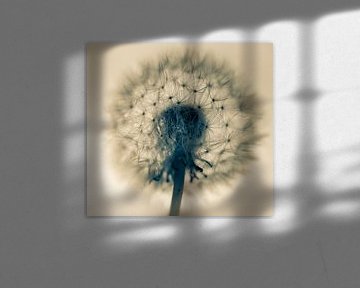 Flaum Ball mit Hintergrundbeleuchtung, Monochrom von Rietje Bulthuis