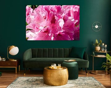 Bloemen in de natuur