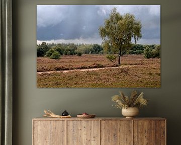 Donkere wolken boven de heide.