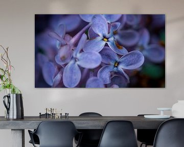 Purple flowers sur Ronald van der Zon