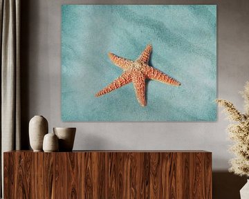 Starfish by Jacky