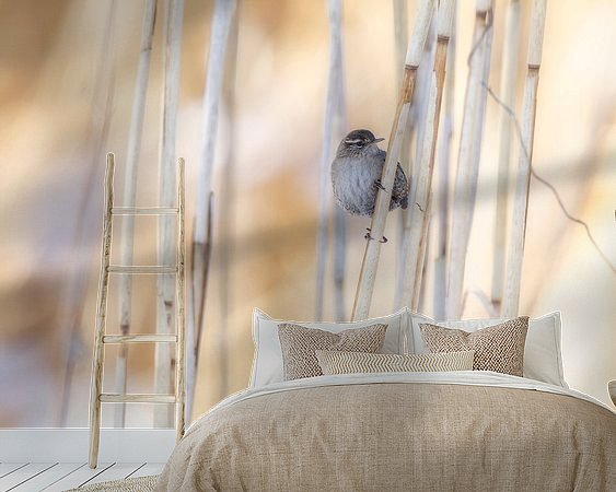 Voorbeeld van het werk in een kamer