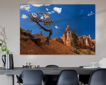 Boom in Bryce Canyon sur Diana de Boer