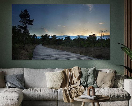 Aperçu de la chambre