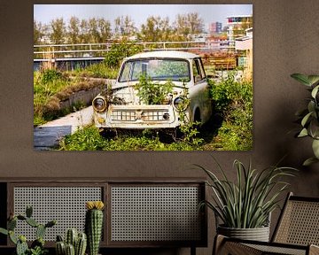 Überwachsener Trabant in Amsterdam von John Ozguc