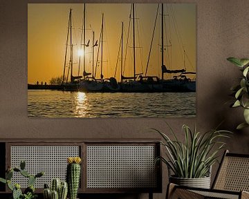 Segelboote und Seemöwen bei Sonnenuntergang auf dem Grevelingenmeer von Judith Cool