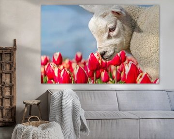 Lammetje en Tulpen op Texel / Lamb and Tulips on Texel van Justin Sinner Pictures ( Fotograaf op Texel)