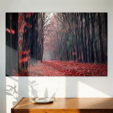 Promenade dans la forêt rouge 