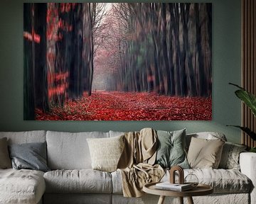 Red forest walk through  van Sabine Bartels