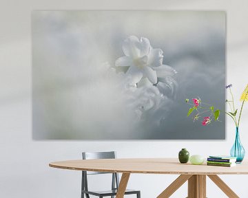 Keukenhof bloemen Wit von Antine van der Zijden